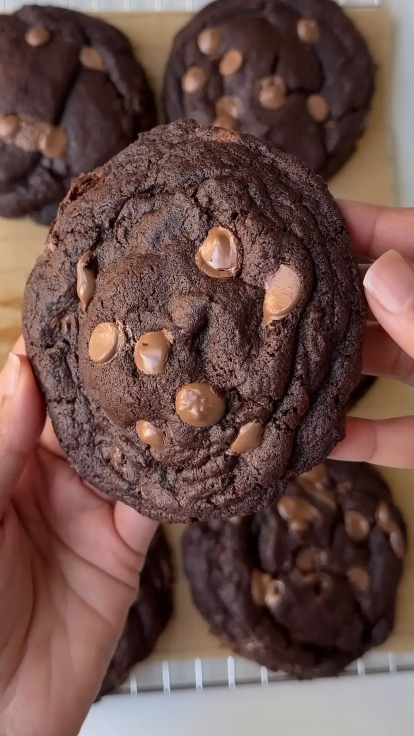 Double chocolate chip cookies Easy Recipe